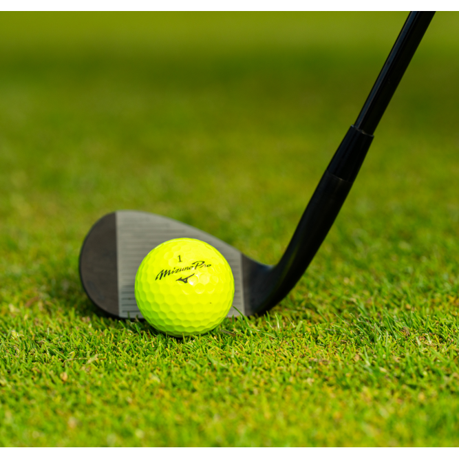 25 Pro Golf Ball