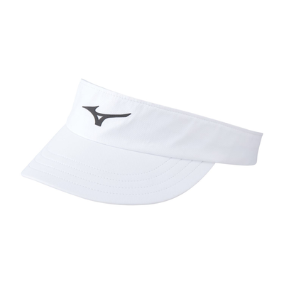 DryLite Visor